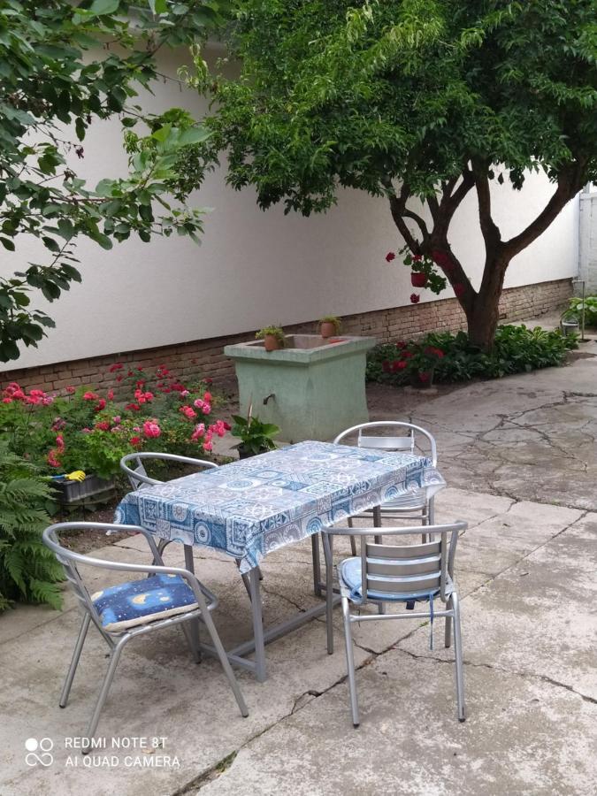 הוילה אפטין Oaza Mira Porodicna Kuca Za Opustanje מראה חיצוני תמונה